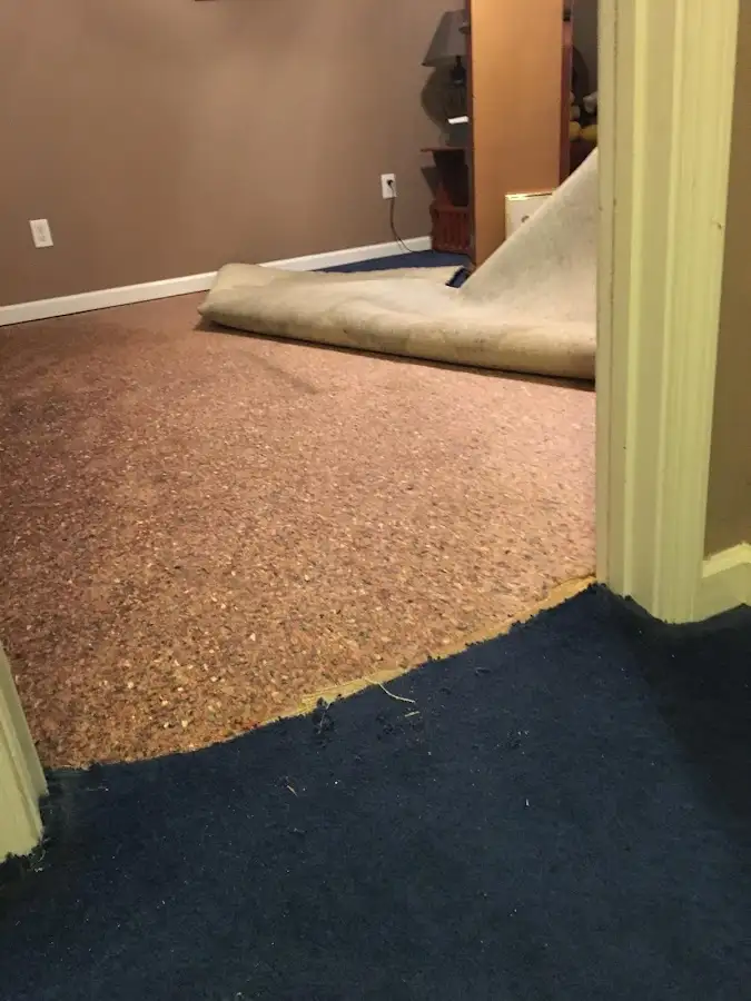 Carpet pad removal revealing water damage during Drying & Dehumidification in Port Neches