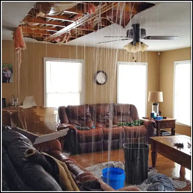 Water Damage Restoration services in Port Neches, TX