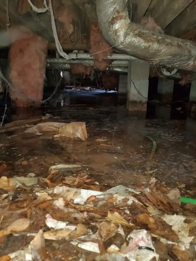 Crawl space flood assessment for Commercial Water Damage Restoration in Port Neches